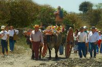 Romer&iacute;a San Isidro - auf dem Weg nach Torrecueva